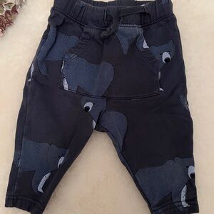 Tea Collection Dark Blue Bear Joggers